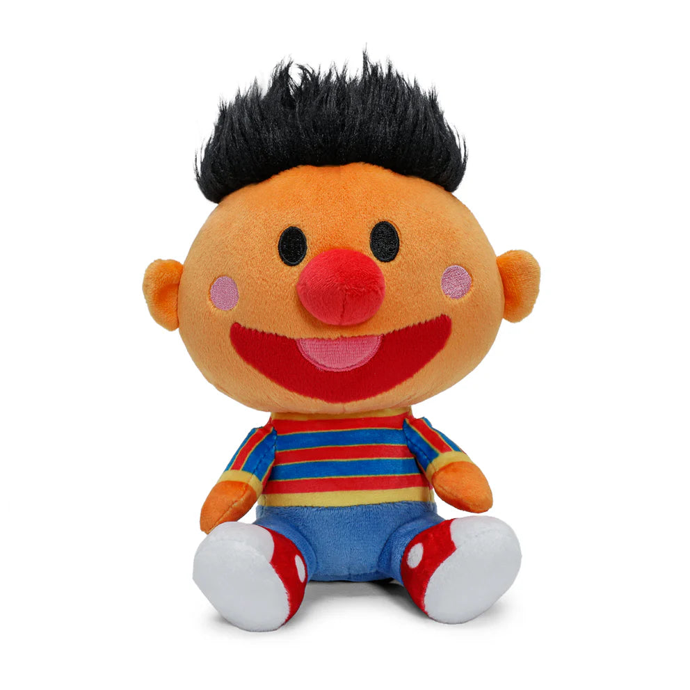 Kidrobot Sesame Street Ernie 8