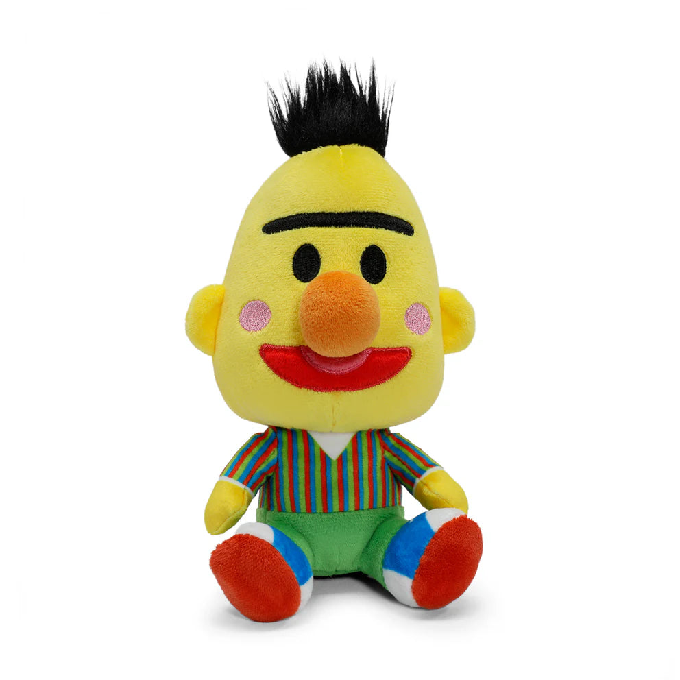 Kidrobot Sesame Street Bert 8