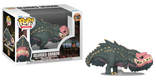 Sticky Image