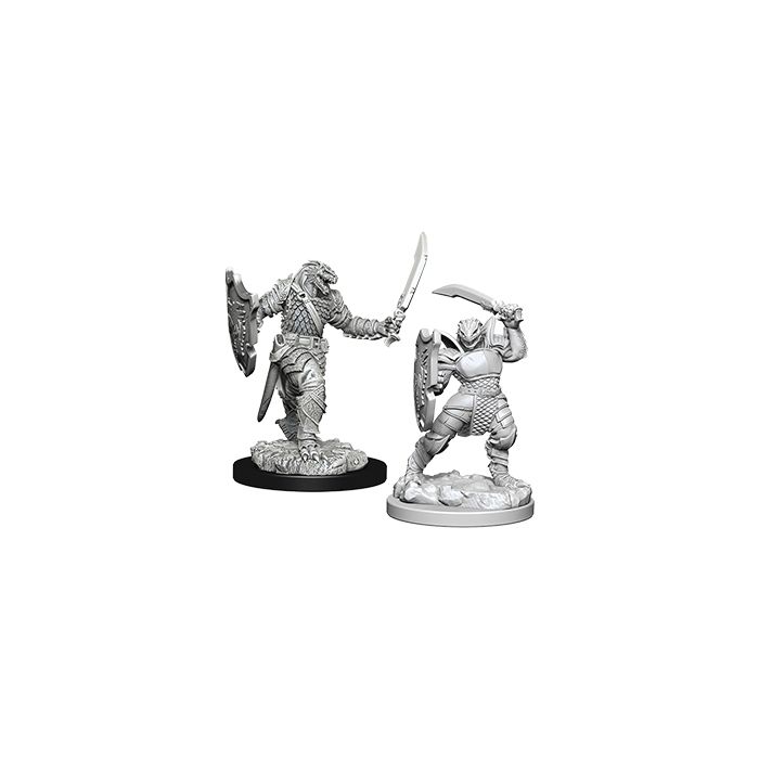 Dungeons and Dragons: Nolzur's Marvelous Unpainted Miniatures Female Dragonborn Paladin - Undiscovered Realm