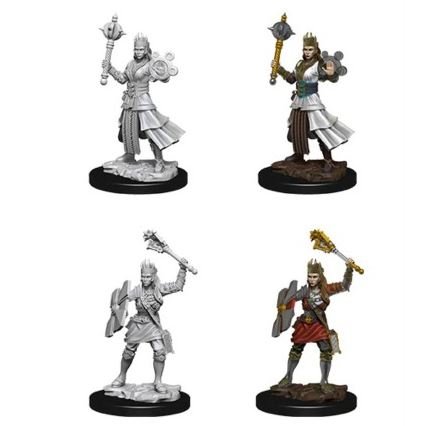 Dungeons and Dragons: Nolzur's Marvelous Unpainted Miniatures Female Human Cleric - Undiscovered Realm