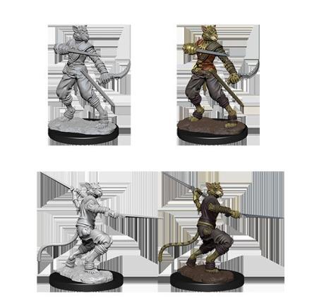 Dungeons and Dragons: Nolzur's Marvelous Unpainted Miniatures Male Tabaxi Rogue - Undiscovered Realm