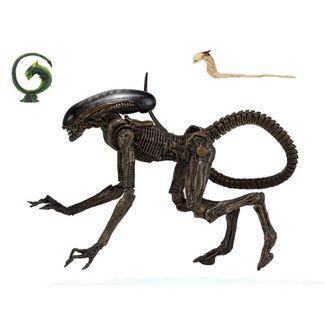 NECA Alien 3 Ultimate Dog Alien 7