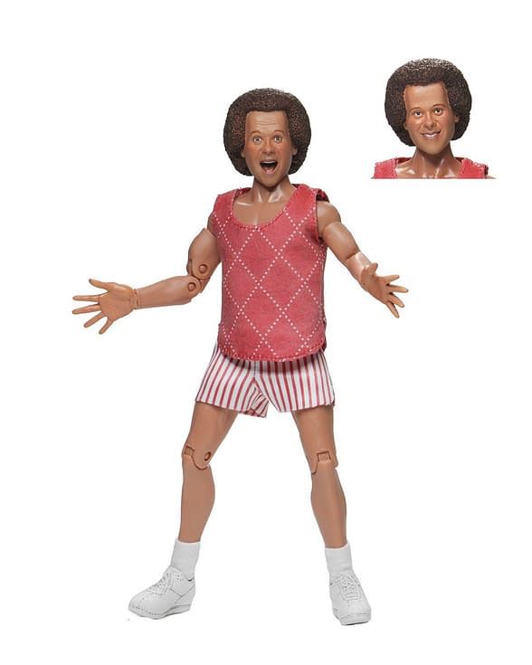 Neca Richard Simmons 8